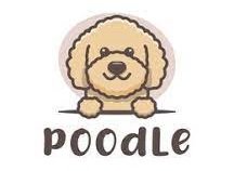 Poodle Puppy Hub