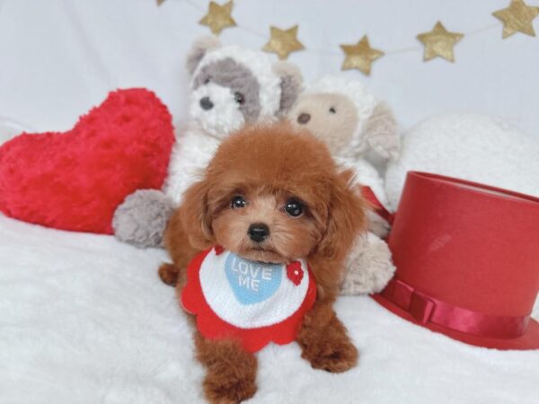 Humphrey